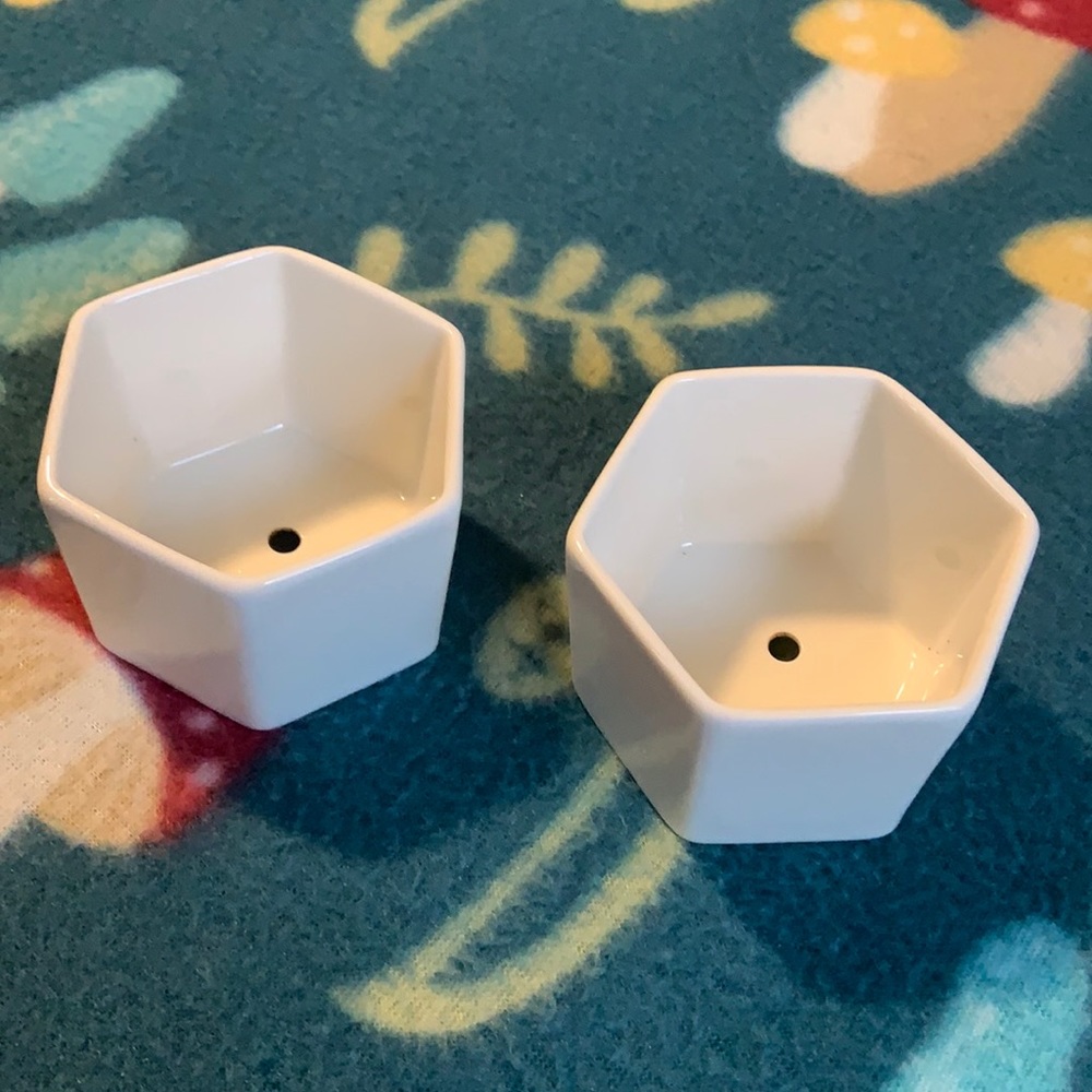 LAST CHANCE 🎁 Hexagonal White Mini Planters w/ Drainage Holes AS IS